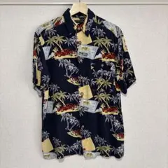 Item thumbnail for item c9026477-3bdf-4bff-80d4-cf48a4d9175d