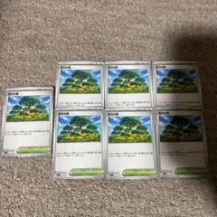 ポケモンカード　活力の森