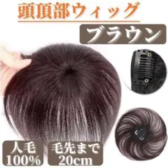頭頂部ウィッグ 茶 ブラウン 20cm 人毛100% ヘアピース 部分 ウィッグ