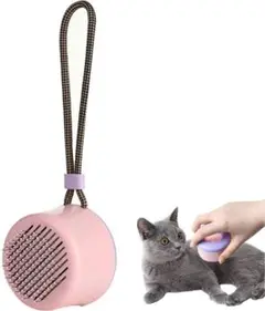 Item thumbnail for item d6d0d85c-2bbb-4d74-b0ab-47a39ecf251d