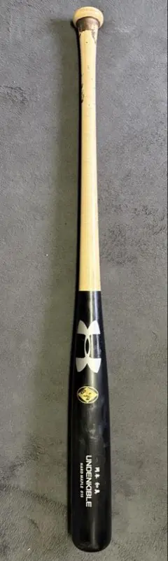 Item thumbnail for item d92bbbc6-e5df-4a36-aa11-ab084abba54d