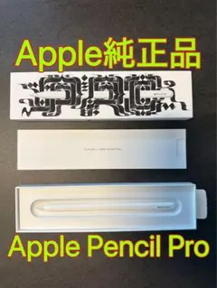Apple Pencil Pro アップルペンシルプロ