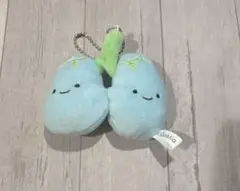 にっこりーノ 臓器 肺
