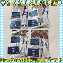 本日限定価格‼️️新品❤️横浜DeNAベイスターズ＊ファンクラブ 2025 アクスタ