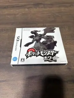 ポケットモンスター ホワイト DS