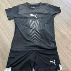 プーマ　130上下
