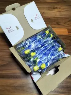 Item thumbnail for item a0e6fa92-8943-4286-b2b1-0ab571506de0