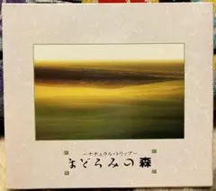 箱付 磯田健一郎 まどろみの森 レゾントOscilation Circuit