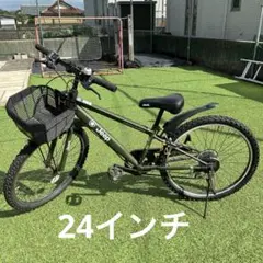 m26399705528_1.jpg?1728104978