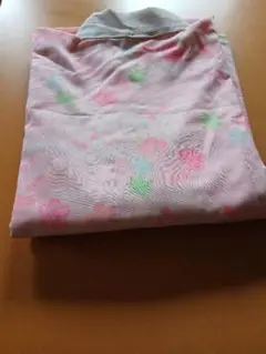 Item thumbnail for item 33457d53-adcb-4ff0-adb0-edbd0e761385