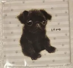 新品未使用『ぼくぱぐ』I ❤️ pug パグタオル: 金澤麻由子コレクション