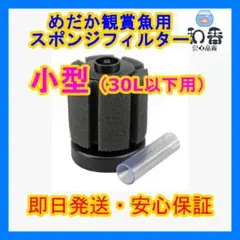 ★水質浄化★スポンジフィルター小型水槽用1個 めだか 金魚 PSB クロレラV