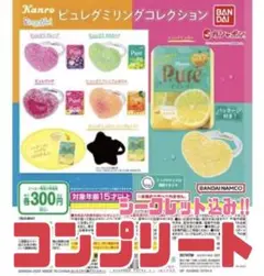 ピュレグミ　ガチャ　トイカプセル　リング　コンプリート　セット