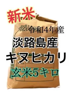 令和4年産 キヌヒカリ 新米 玄米 5キロ 淡路島産 5kg