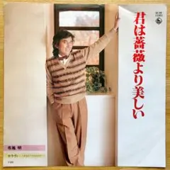 布施 明／君は薔薇より美しい シングルレコード