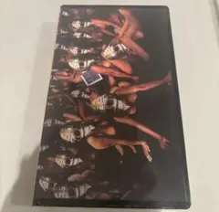 廃盤 帯付き CD ザ・タイマーズ 不死身のタイマーズ SWIMC-001 THE TIMERSザ・タイマーズ「不死身のタイマーズ」アナログ