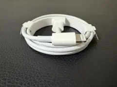 Apple純正 USB type C × lightning ケーブル