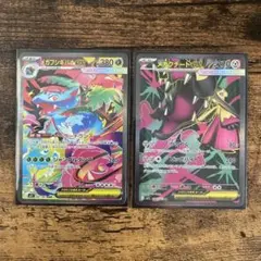 ポケモンカード　メガフシギバナex SAR メガクチートex SR 2枚セット