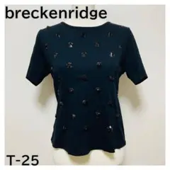 未使用級☆breckenridge　半袖Tシャツ　スパンコール　レディース　黒