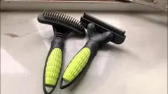 Item thumbnail for item 1bc37942-1596-4567-b0ce-4ea5be8e5981