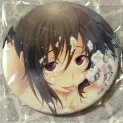 ハイスクールD×D 朱乃がいっパイ くじ引き堂 D賞 缶バッジ D-14