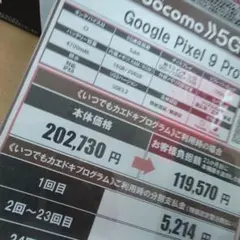 Google Pixel 9 Pro 256GB