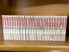 ハイスクールD×D 1-25巻セット　おまけ付き