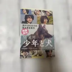 少年と犬