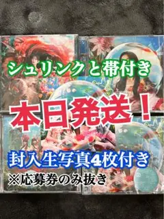 封入生写真4枚付き 本日発送 乃木坂46 36th チートデイ 初回盤 4枚