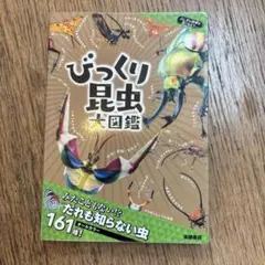 Item thumbnail for item 451aa02e-c7c0-4a9d-9f74-31e3a4f889a4