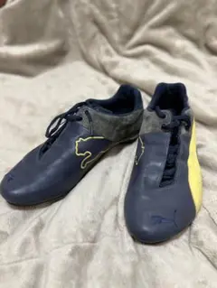 Item thumbnail for item 5bdc1b0c-b8b3-4eee-b3bd-c0576536e4d8