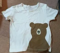 無印　クマプリント Tシャツ 90サイズ