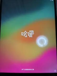 iPad Pro 第2世代 10.5インチ 256GB