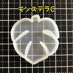 109/シリコンモールド モンステラC