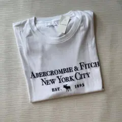 アバクロ　半袖　Tシャツ　ロゴ刺繍　ホワイト　XXL