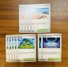 ポケモンカード 活力の森 なみのりビーチ ミステリーガーデン 12枚セット