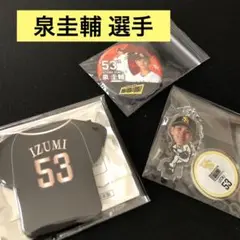 泉圭輔　選手　ユニフォーム 2025年最新】泉圭輔 ユニフォームの人気アイテム - メルカリ