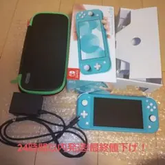 Nintendo Switch NINTENDO SWITCH LITE ター…