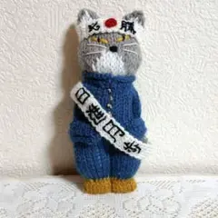 受験生になりたかった猫　ハチワレ猫　あみぐるみ　棒針編み(小物はかぎ針編み)