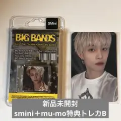 WayV BIG BANDS mumoトレカ smini 新品未開封 ヤンヤン