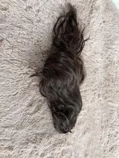 Item thumbnail for item 5658a9ed-68ad-4530-ab9d-432aa6051335