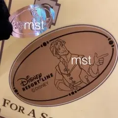ディズニー スーベニアメダル フリンライダー リゾートライン リゾラ