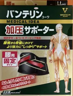 Item thumbnail for item 6fcdca22-7f7b-494d-ba91-fced431dbc99