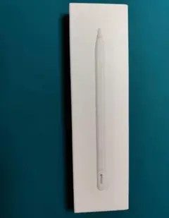 ✨未開封未使用✨ Apple Pencil (USB-C) ブラック 正規品