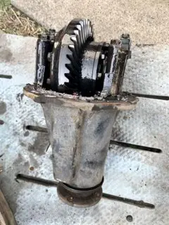 m26467548379_1.jpg?1741846656
