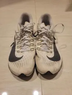 Item thumbnail for item a4454923-30ef-4534-981c-2f9395bc7581