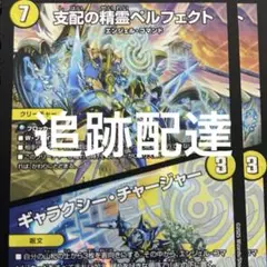 ペルフェクト　2枚