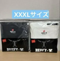 ビーフィー 2枚組 黒　白　ホワイト メンズ Tシャツ 半袖 XXXL　アソート