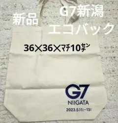 Item thumbnail for item 56f077d4-78e6-4f94-b96b-912ed453ba2e