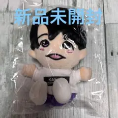 *.꒰  和 衣装(帝王) ちびぬい ꒱.* 正門良規 関ジュ ソロコン　帝国 ꒰ OP帝王 衣装 ちびぬい ꒱.* 正門良規 関ジュ ソロコン 帝国の